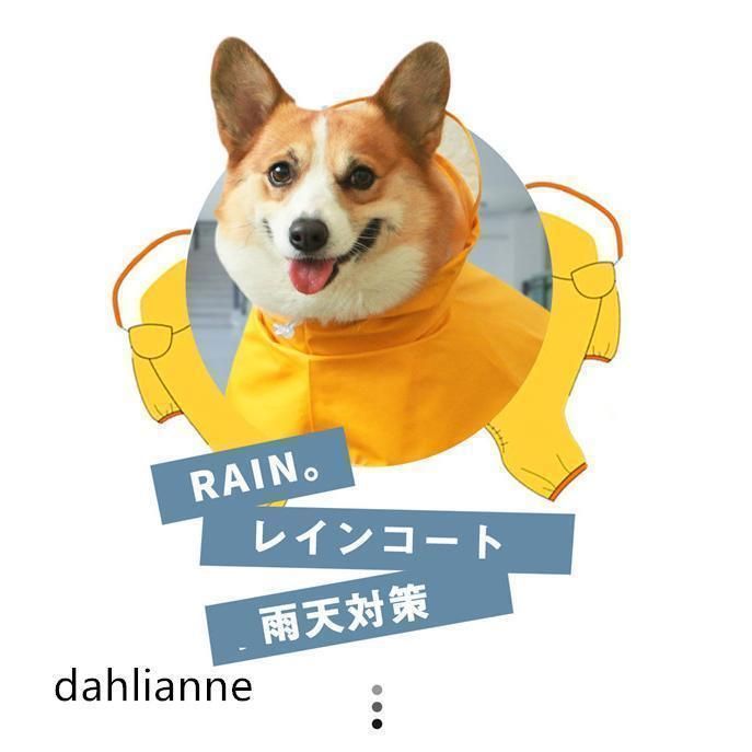 かわいい 可愛い