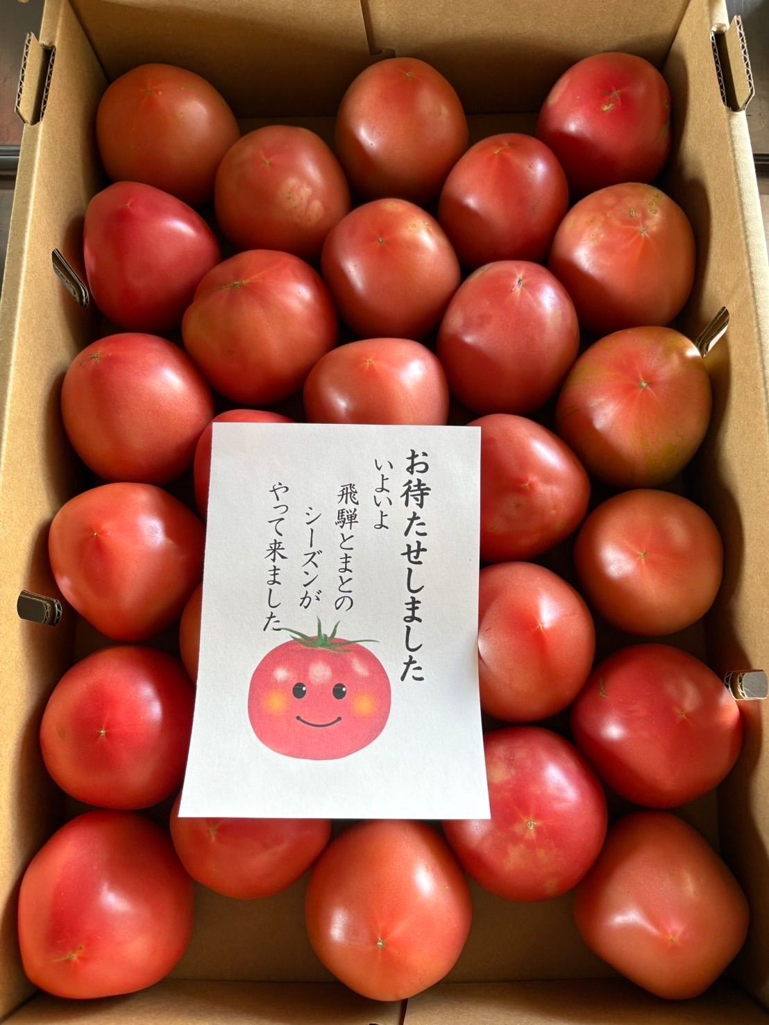 岐阜県産麗月トマト　訳あり　注文ページ 岐阜県産 訳あり 飛騨トマト 麗月 4kg - メルカリ