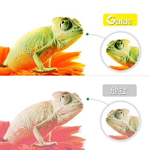 商品 Galac ink キャノンCanon BC365XL BC366XL 大容量 残量表示付 BC-365 BC-366 ブラック 2個セット 再生インク 対応機種 PIXUS TS3530TS3730 WWW_NOITHATQUANGTHANH_NET