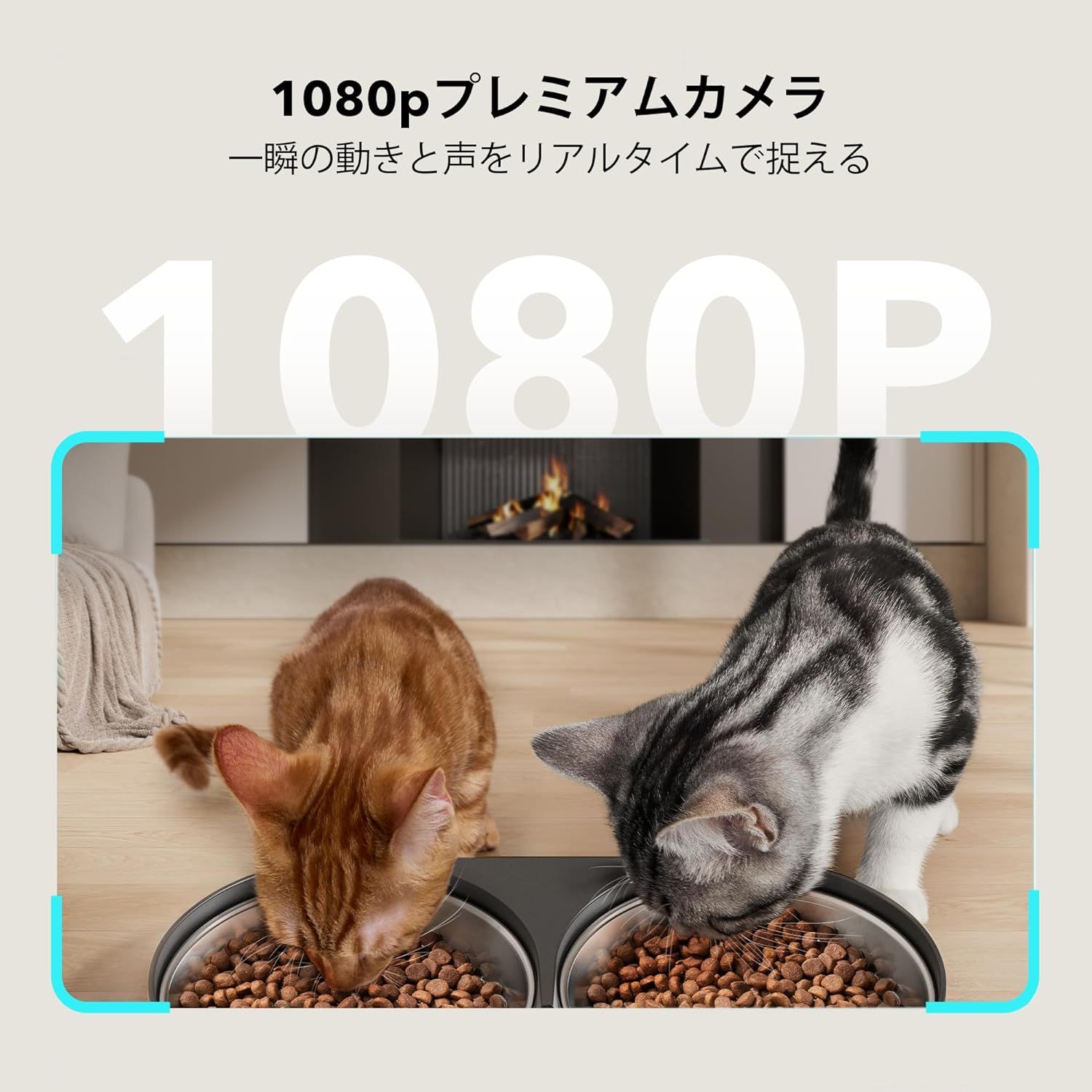 WiFi対応