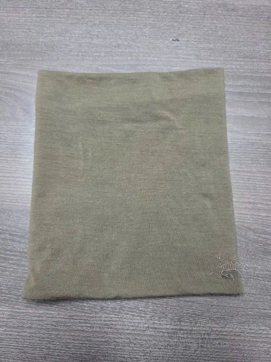 お早めに！ ARC TERYX アークテリクス コールド wx ネックゲイター