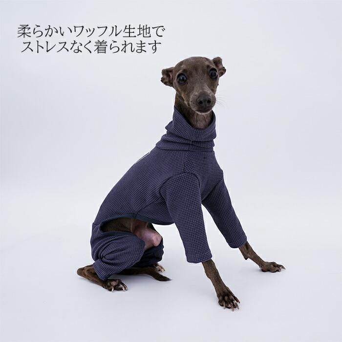送料無料 イタリアングレーハウンド 服 イタグレ イタグレ専用服