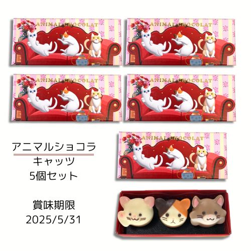 ゴンチャロフ　アニマルショコラ　ドッグスとキャッツ　計6個セット ゴンチャロフ アニマルショコラ ドッグスとキャッツ 計6個セット