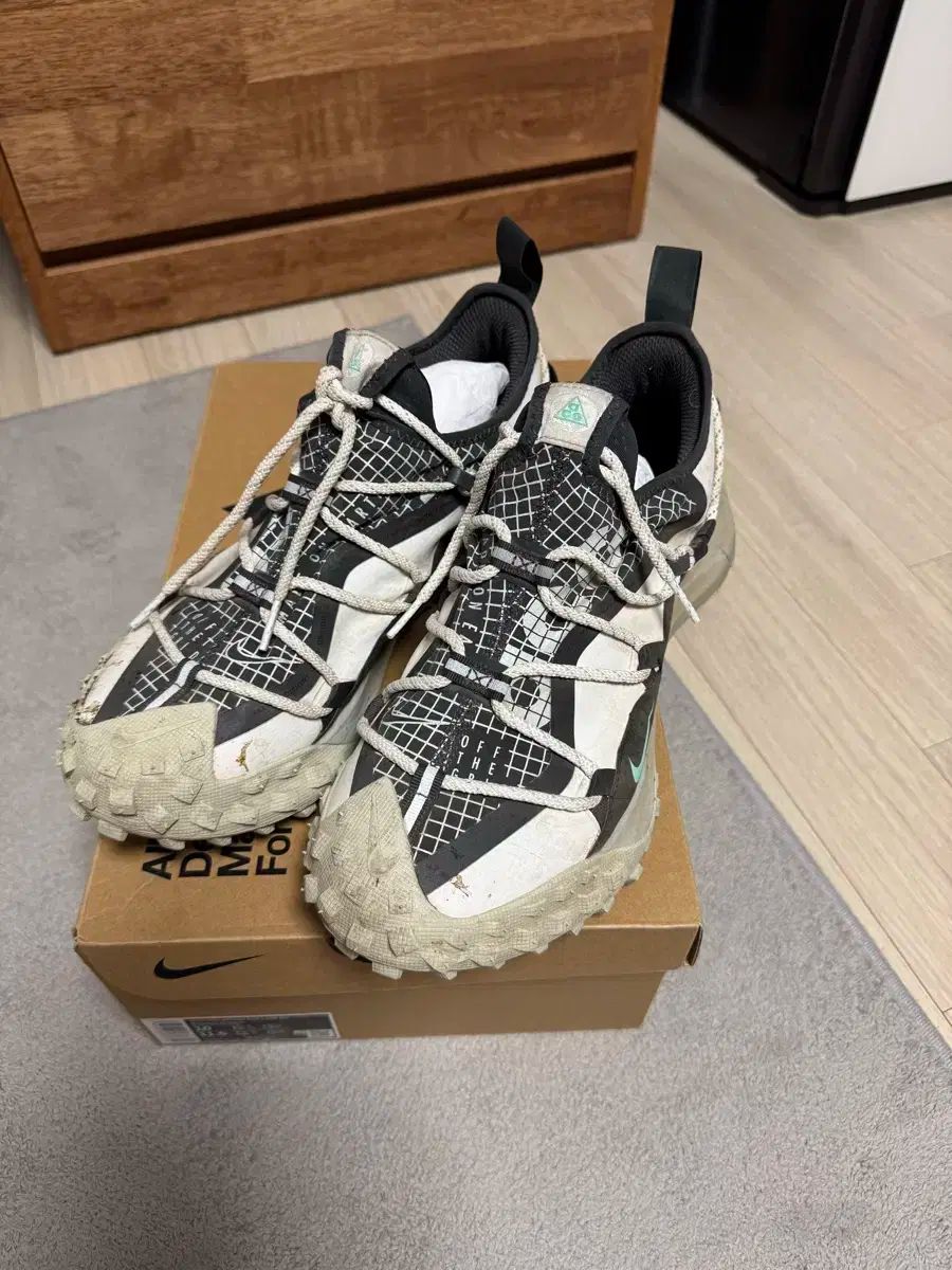 NIKE ナイキ acg マウンテン フライ se