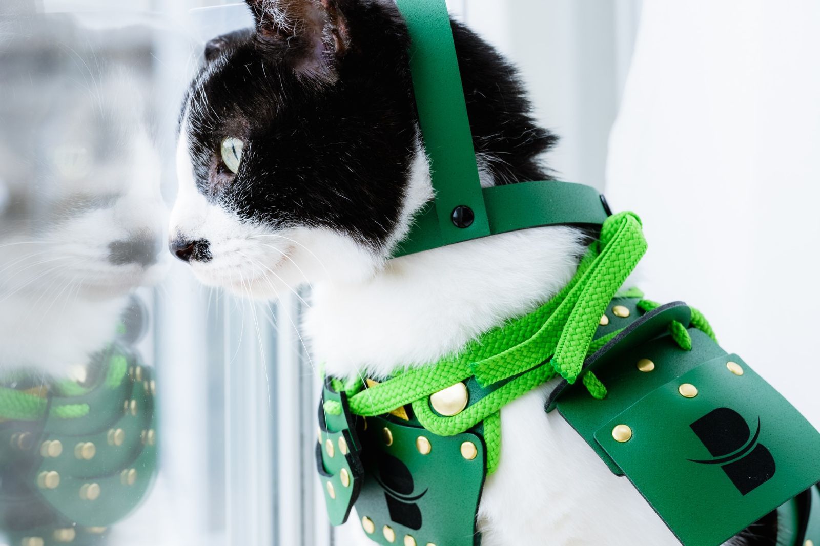福袋 ペット鎧 猫 小型犬用 5点セット