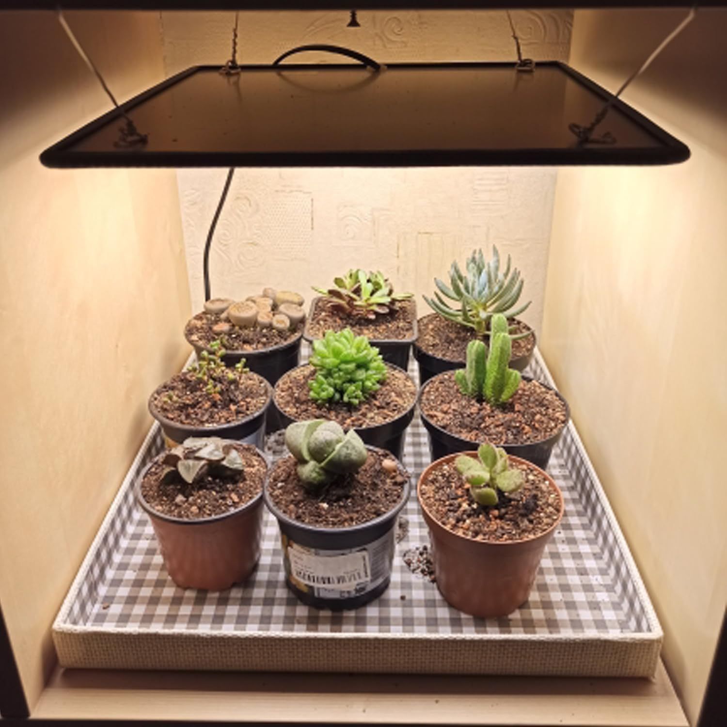 新着商品 GREENSINDOOR 植物育成ライト LED 植物ライト 400W相当 暖色系 室内栽培 観葉植物 育成ライト 水耕栽培 多肉植物 育成用 LED パネル 超薄型 フルスペクトル 高演色性 高輝度 植物用ledライト 植物栽培ライト 吊り下げア