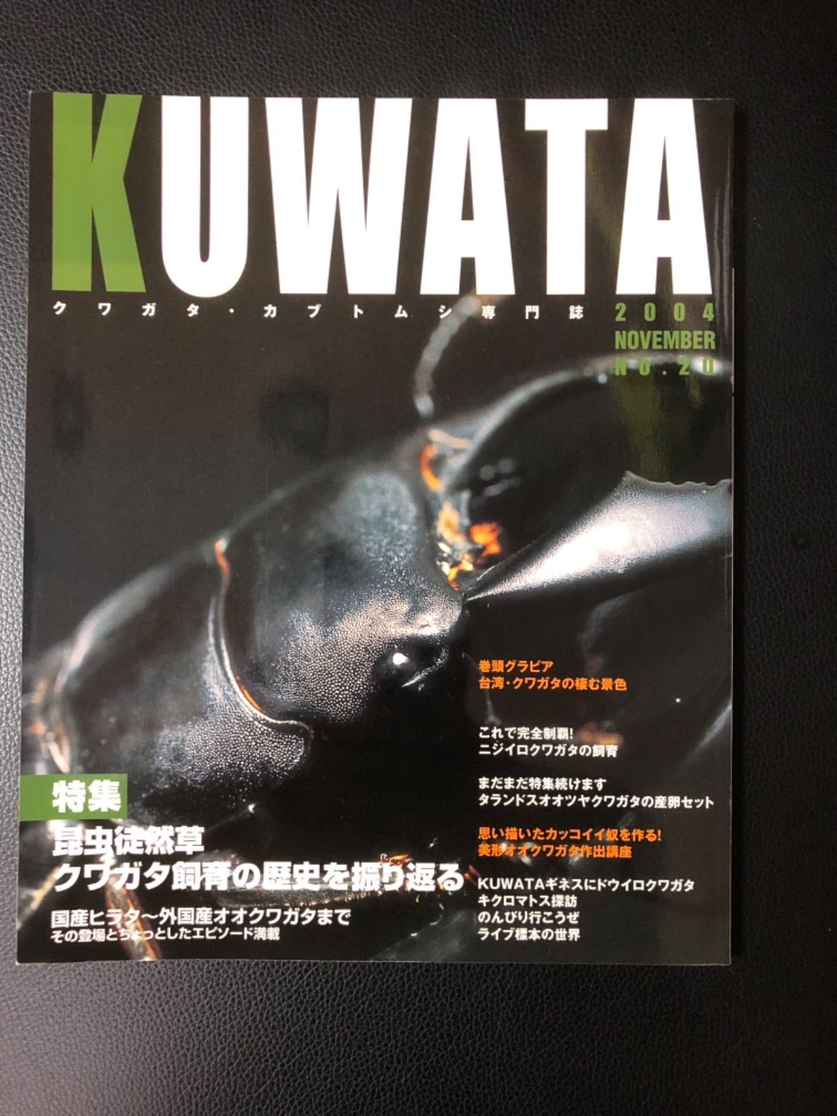 KUWATA 創刊号等12冊 クワガタ・カブトムシ専門誌 - 趣味/スポーツ/実用