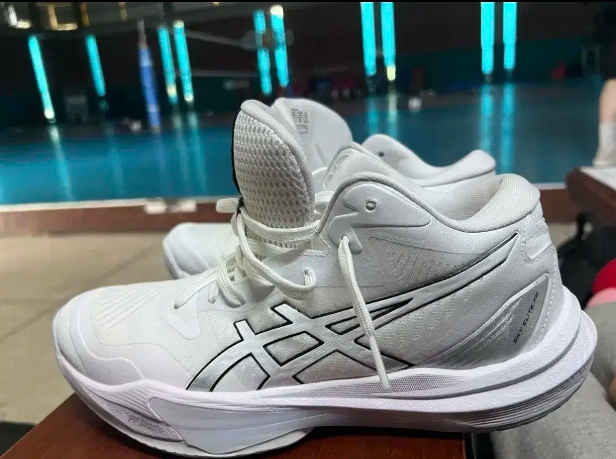 asics アシックス バレーボールシューズ 255 応相談