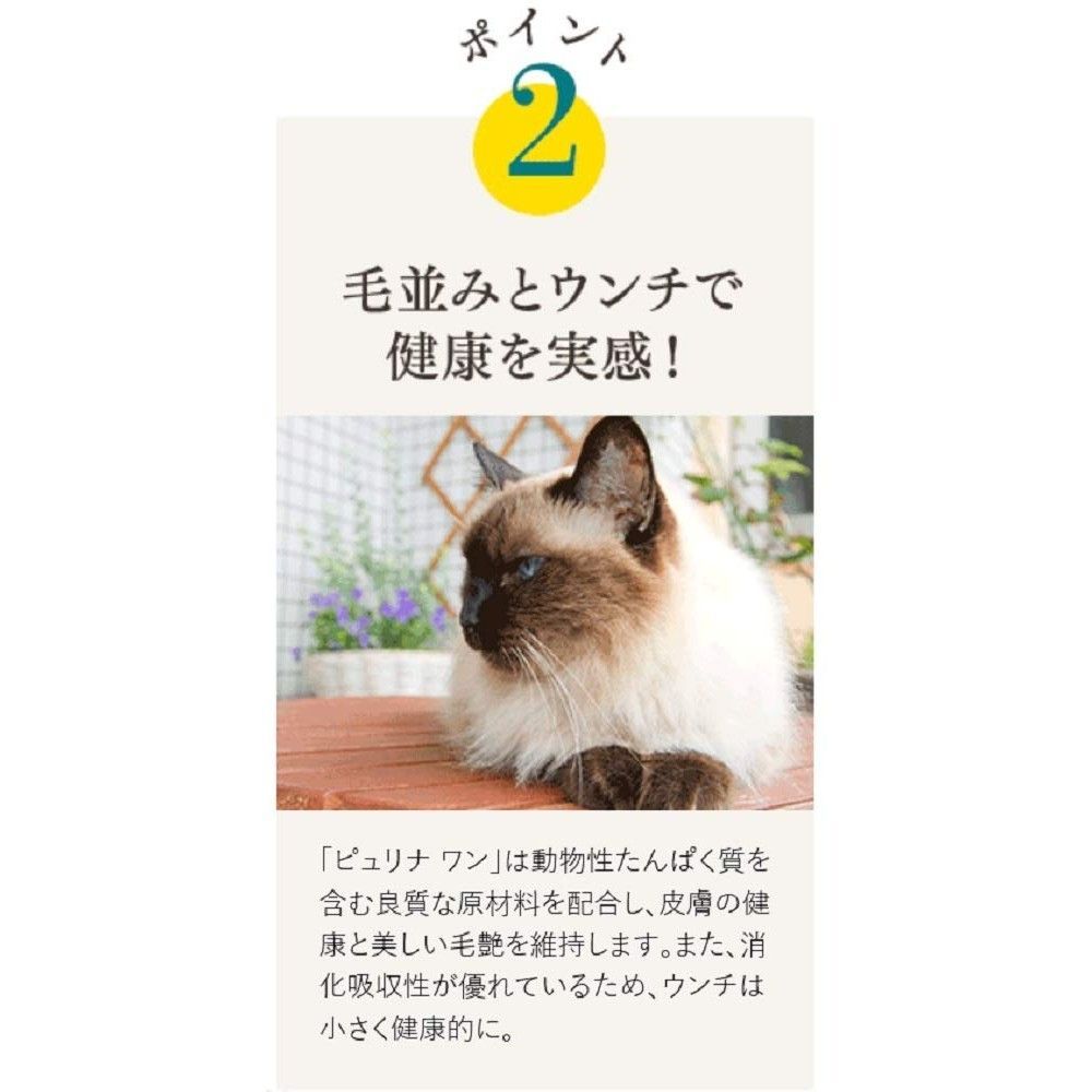 サーモン-ツナ