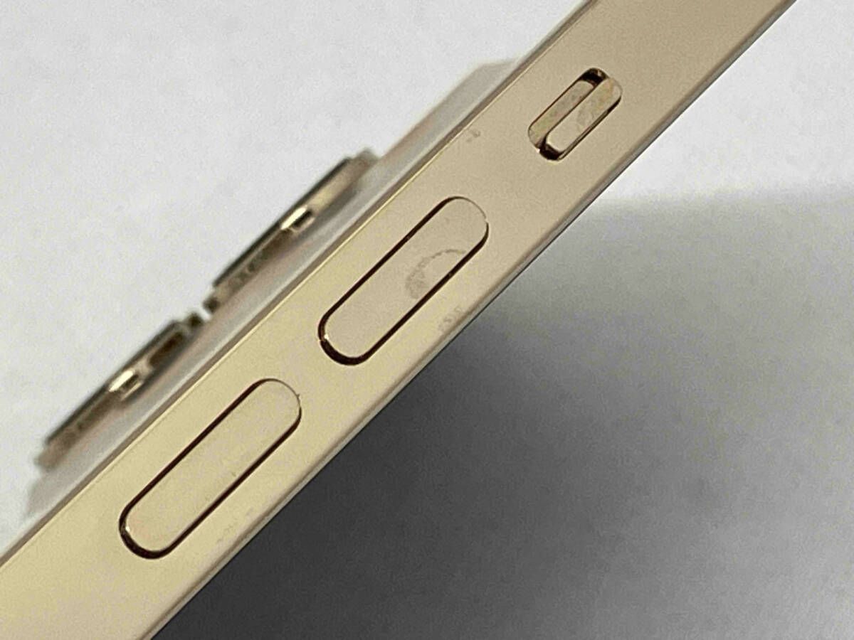 docomo 【SIMロックなし】MGD13J/A iPhone 12 Pro Max 256GB
