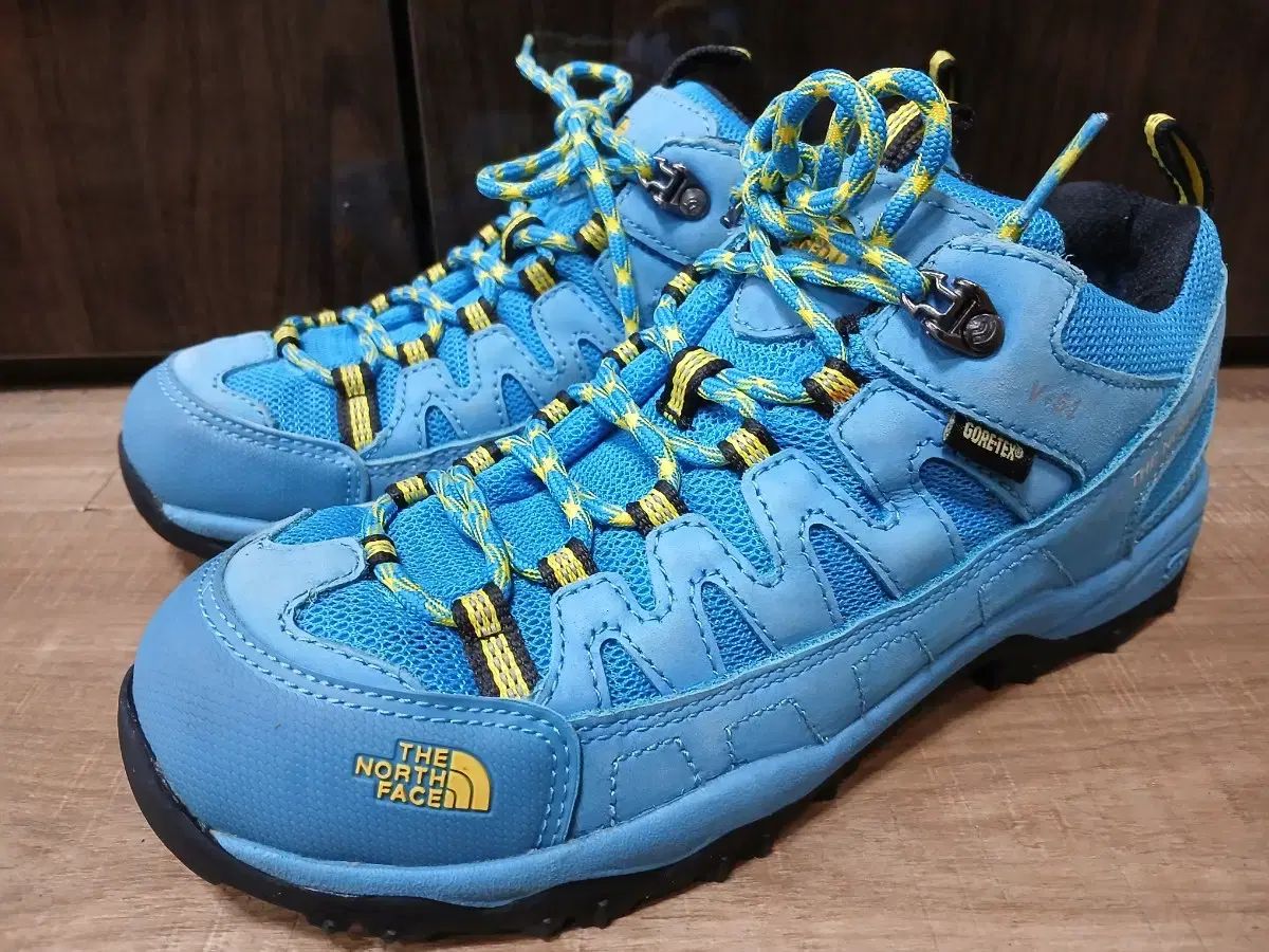 THE NORTH FACE ザノースフェイス GORE-TEX ゴアテックス 250mm 登山靴