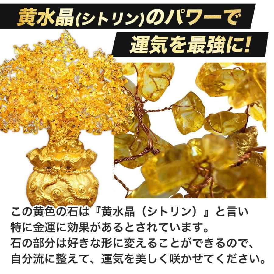 置物 健康