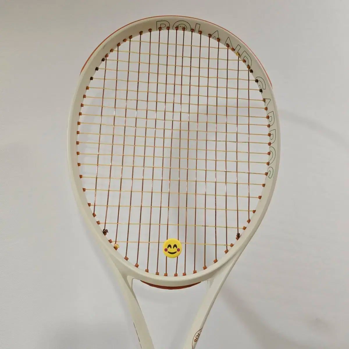 ウィルソン Wilson 衝突 ローランドギャロス テニス ラケット