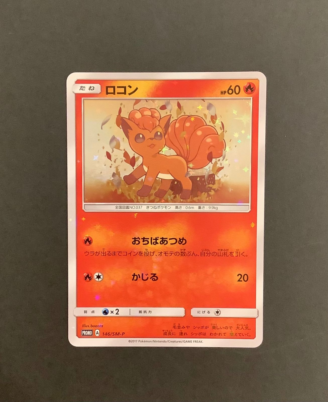 ポケモンカード ロコン プロモ スペシャルBOX Rokon