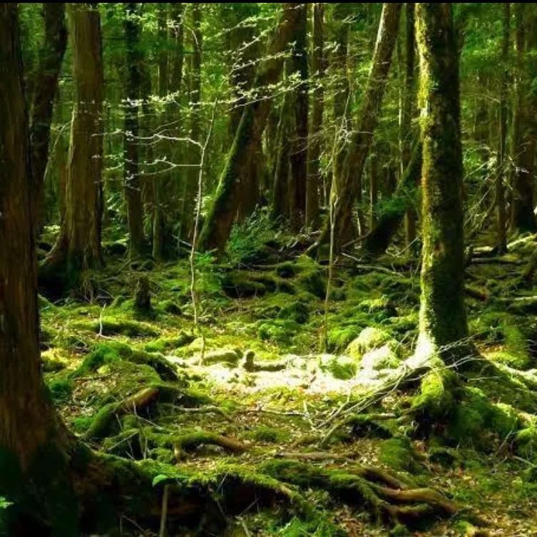 無添加おやつ