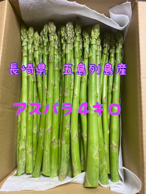 アスパラ 4キロ A品 夏採り 楽天市場】【予約】 北海道産