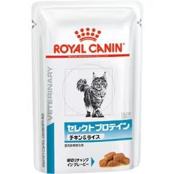 ロイヤルカナン 猫用セレクトプロテインC-R85g×24個×2個