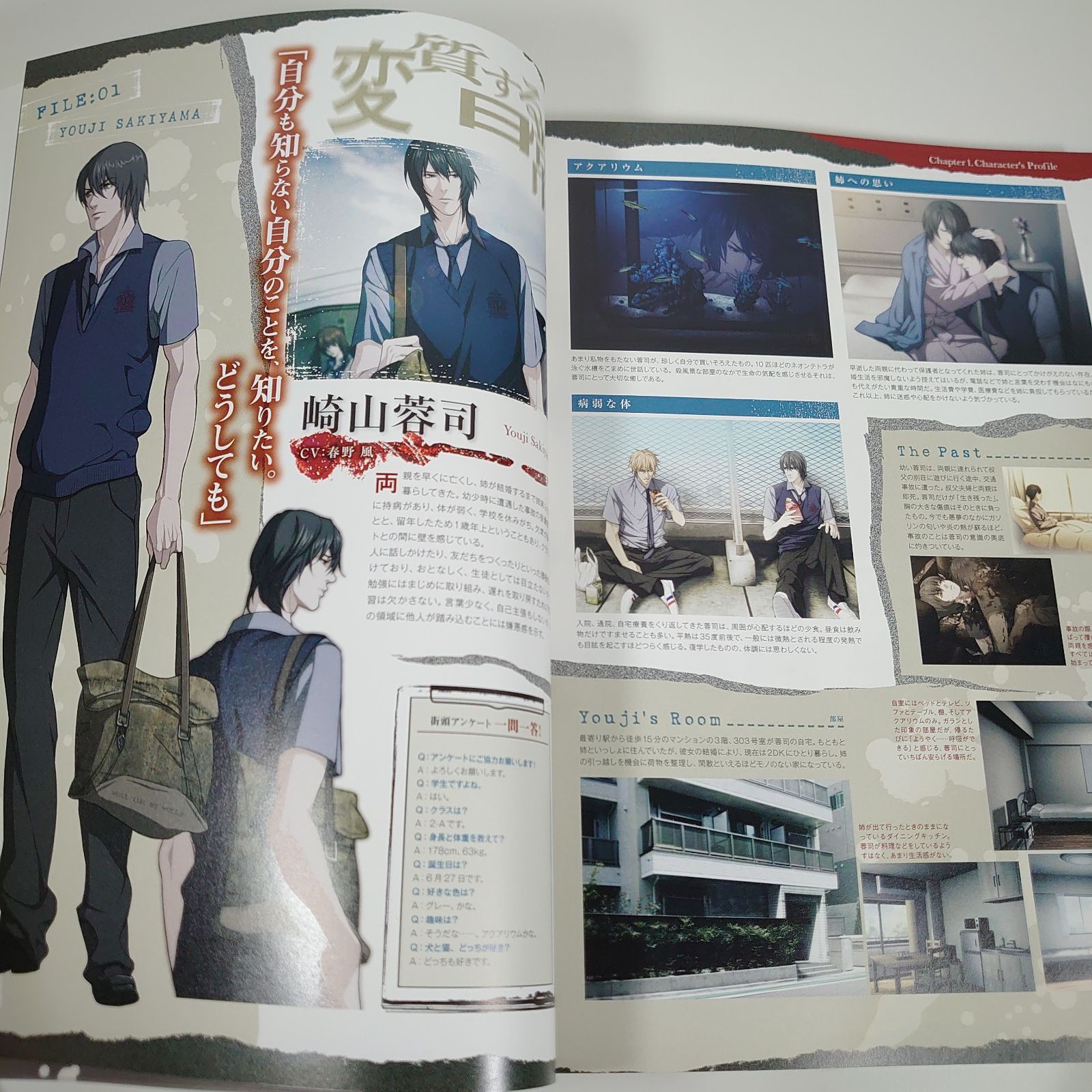 sweet pool 公式ビジュアルファンブック - メルカリ