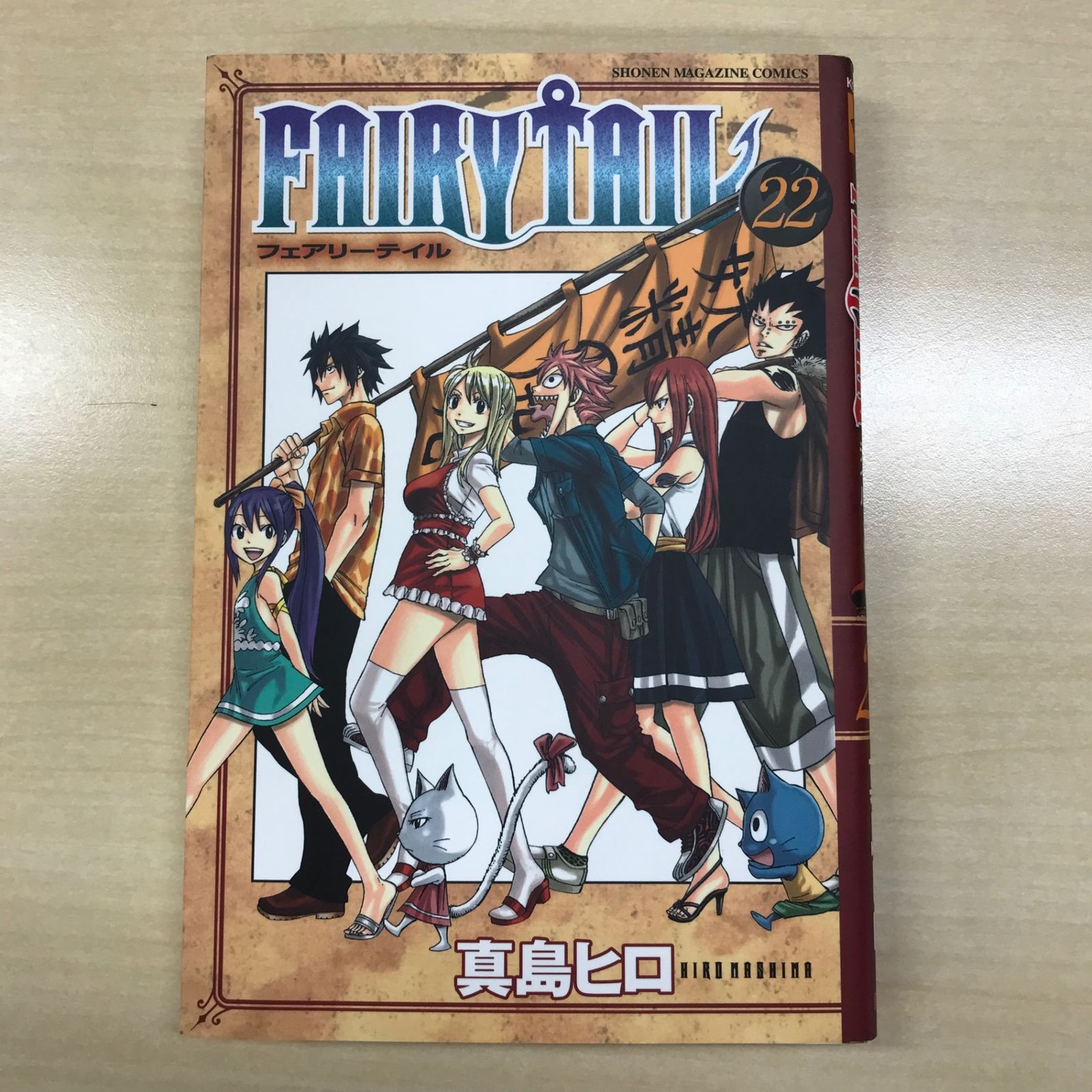 初版】FAIRYTAIL（フェアリーテイル）22巻/【作者】真島ヒロ/GF