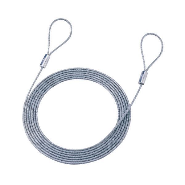 (まとめ)サンワサプライ eセキュリティ(ワイヤー、3.0m・3.5mm) SLE-1W-3