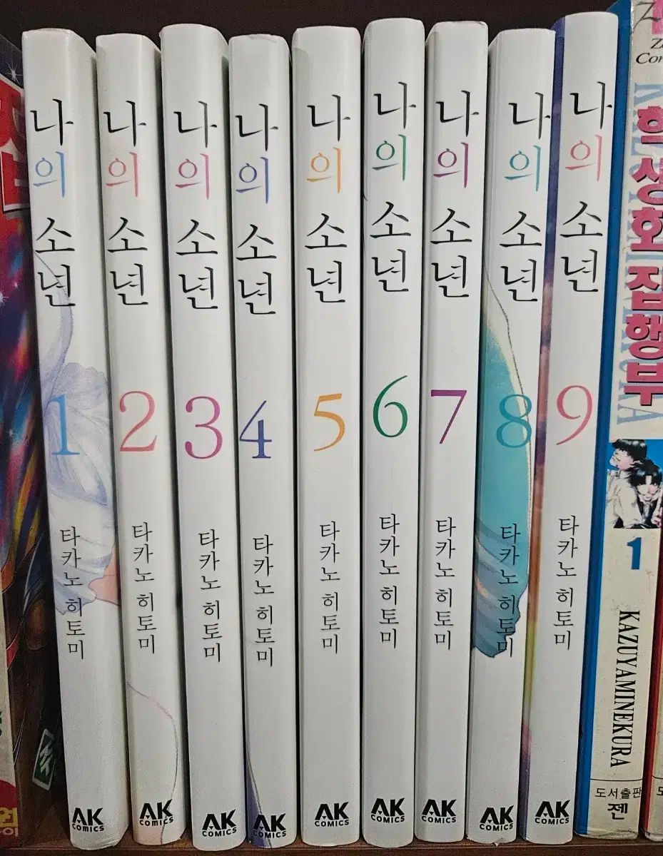 草間彌生展 松本市美術館 限定 水玉強迫 ドット柄 手ぬぐい 赤白