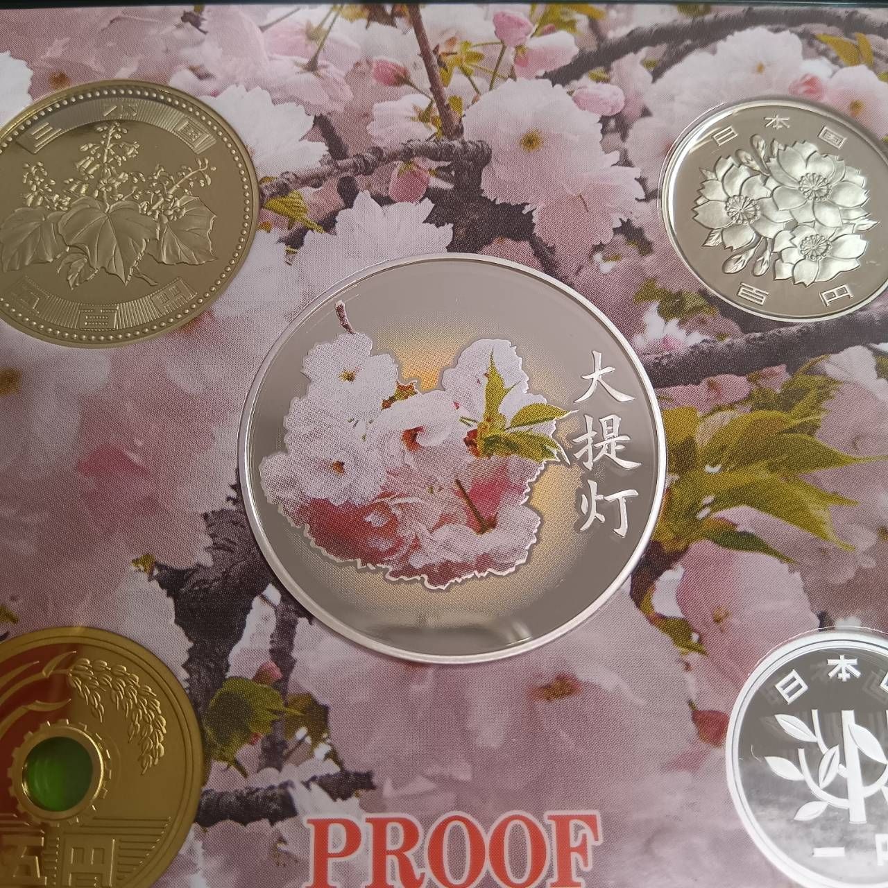 桜の通り抜けプルーフ貨幣セット２０１８年平成３０年 大提灯 桜の通り抜け2018プルーフ貨幣セット 平成30年 大提灯 - メルカリ