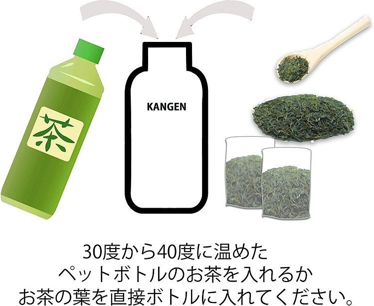 還元ボトル KANGEN４ 還元くん 低電位 水素茶 製造ボトル 浄水 （① 