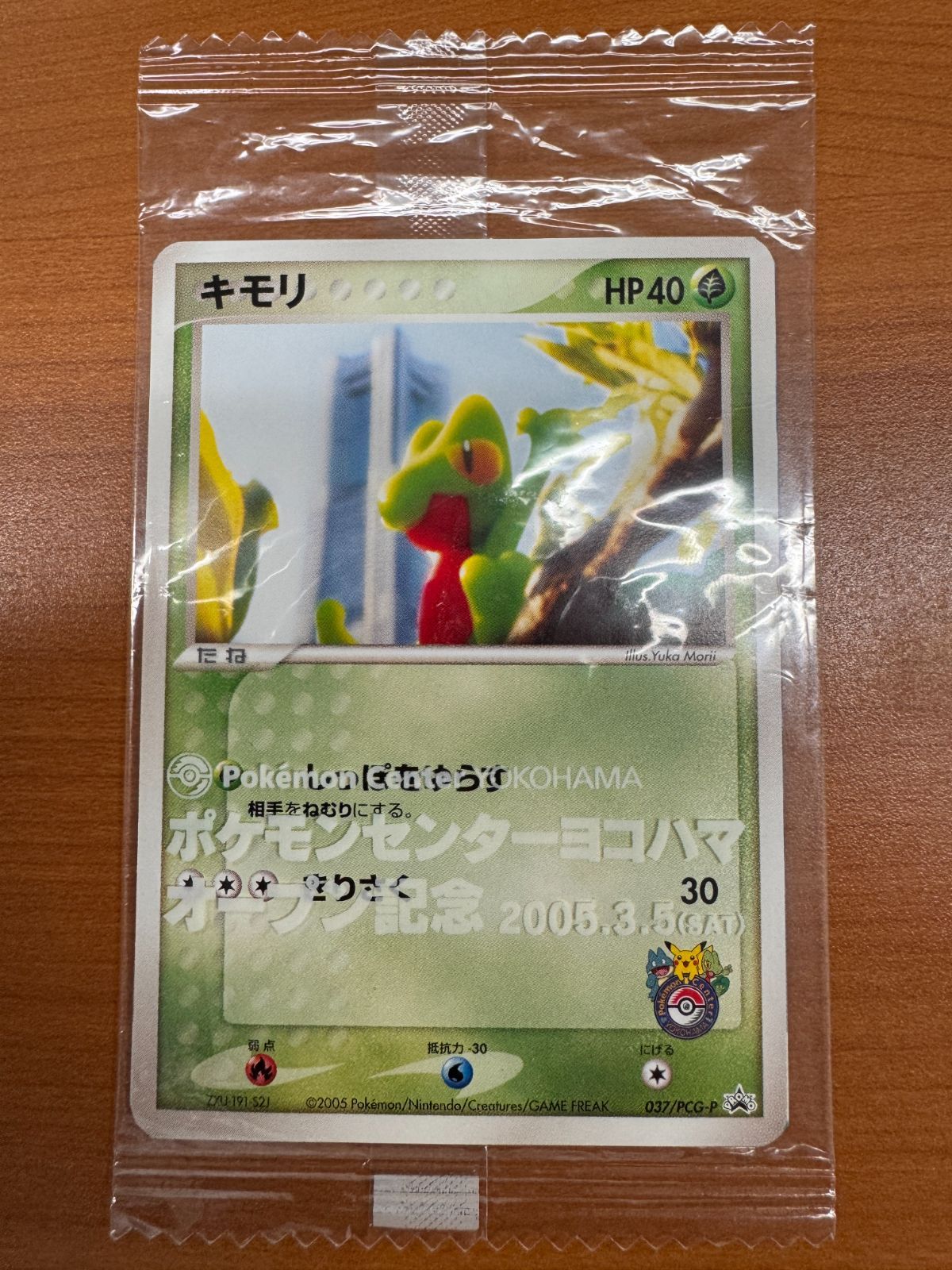 未開封プロモ】 キモリ 037/PCG-P – 晴れる屋2