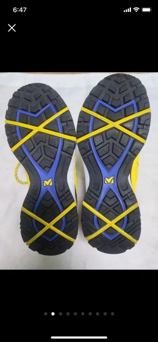 ミレー ジャガー