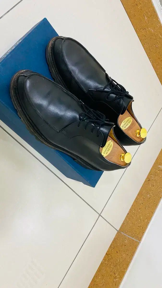 アンドレス サンドラ UK 7 5 UTIPダービー