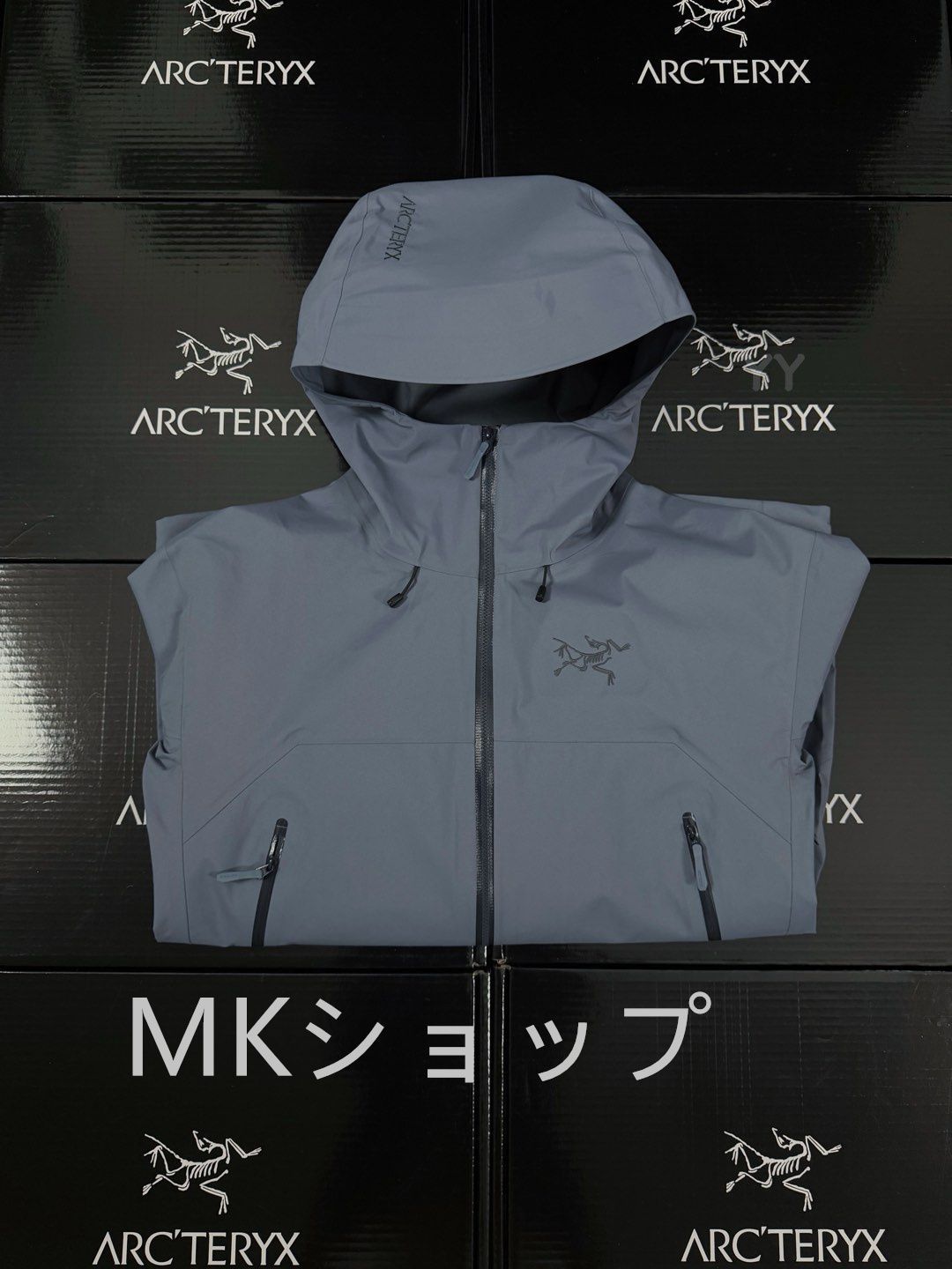 Arc'teryx Beta SL GORE-TEX ハードシェルジャケット 防水 防風