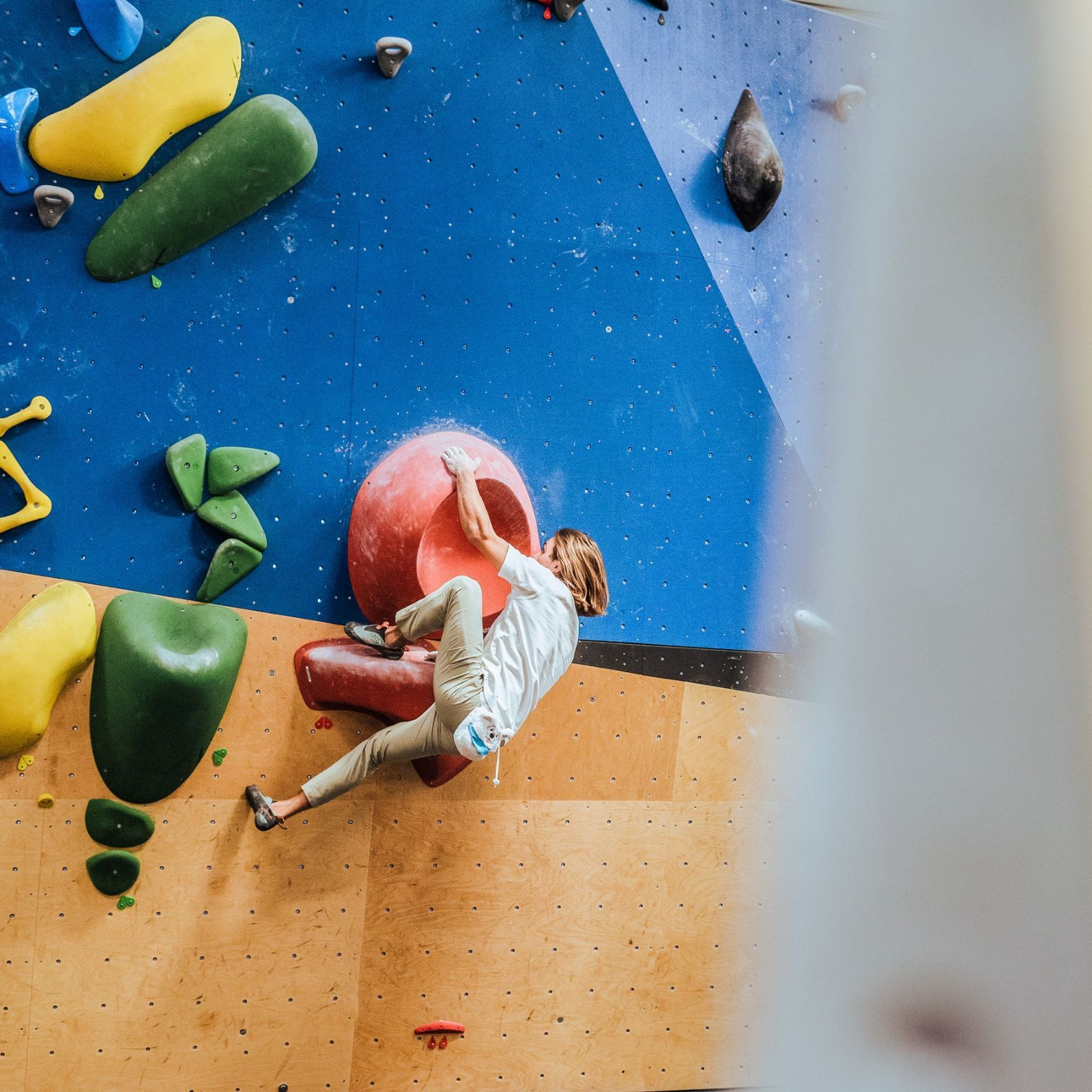 ★ワンワン 愛くるしいスピッツ サモエドYY Vertical ワイワイバーチカル チョークバッグ アニマル クライミング ボルダリング Climbing YY Vertical〉Chalk Bag Samoyed | PUMP ONLINE STORE