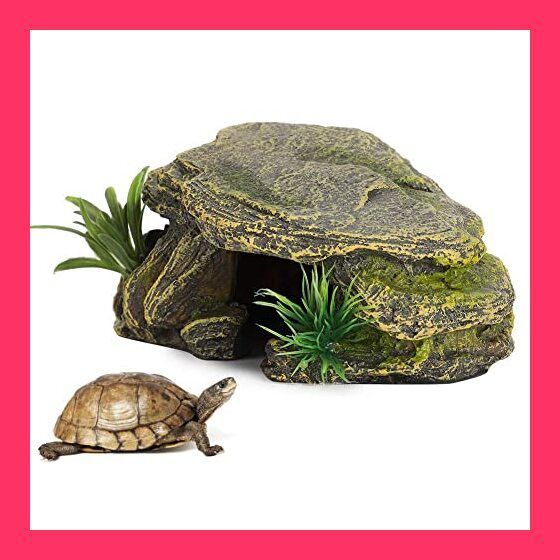 スタッフおすすめ！】爬虫類の隠れ家 ウェットシェルター テラリウム