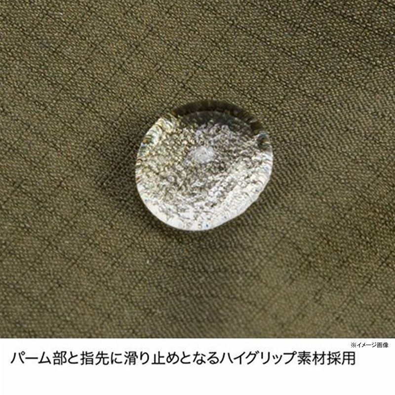 トレイル