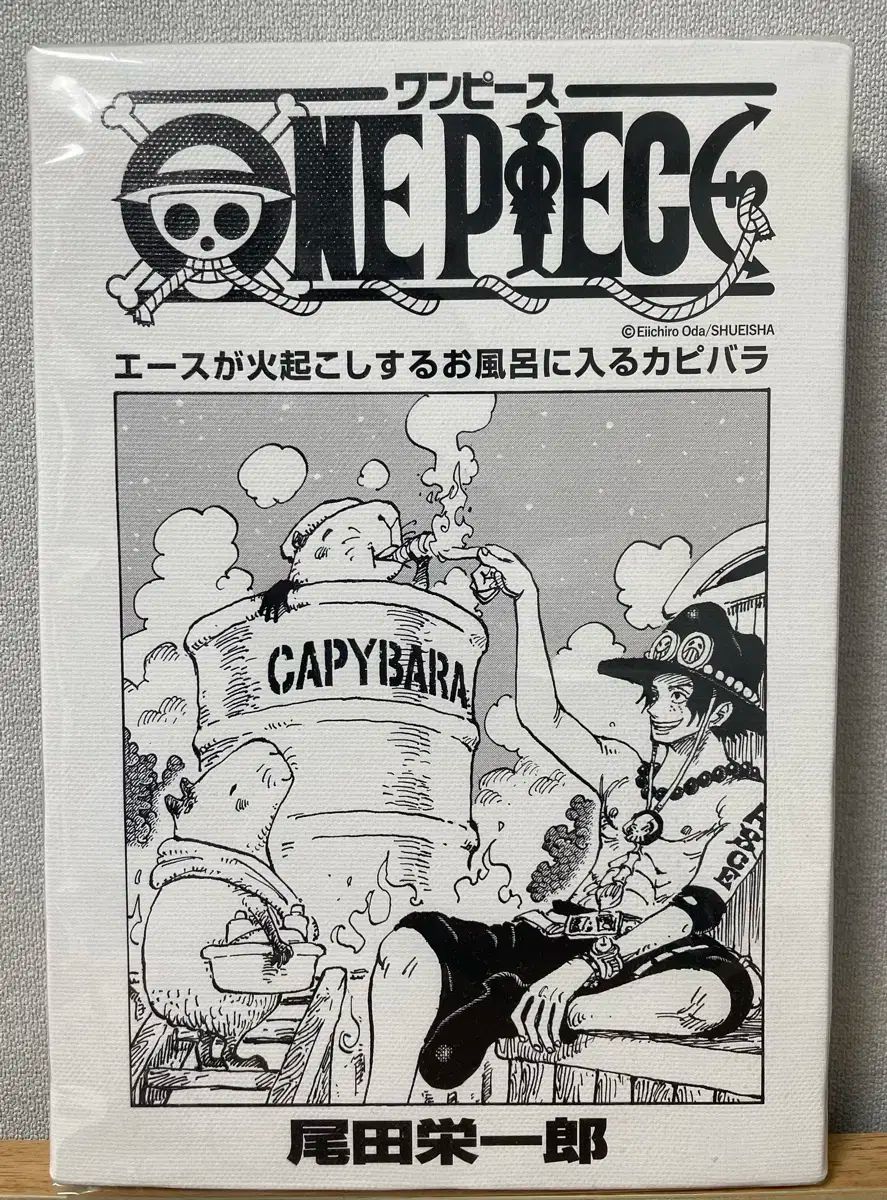 ワンピース　扉絵　額つき JUMP SHOP ONE PIECE 扉絵アートボード - エース エース pop
