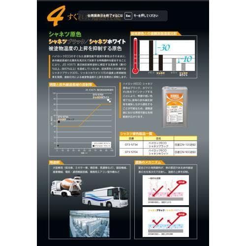 ロックペイント