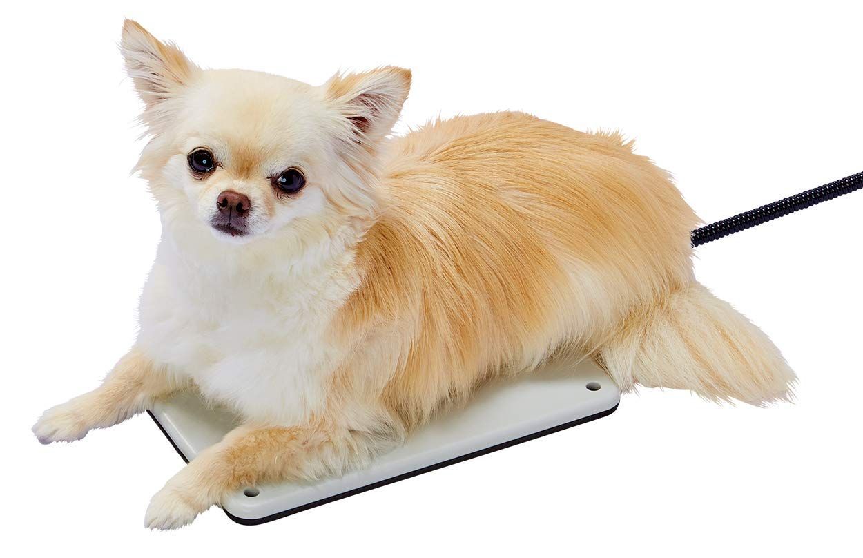 乾燥山ぶどう蔓2kg 、7-087