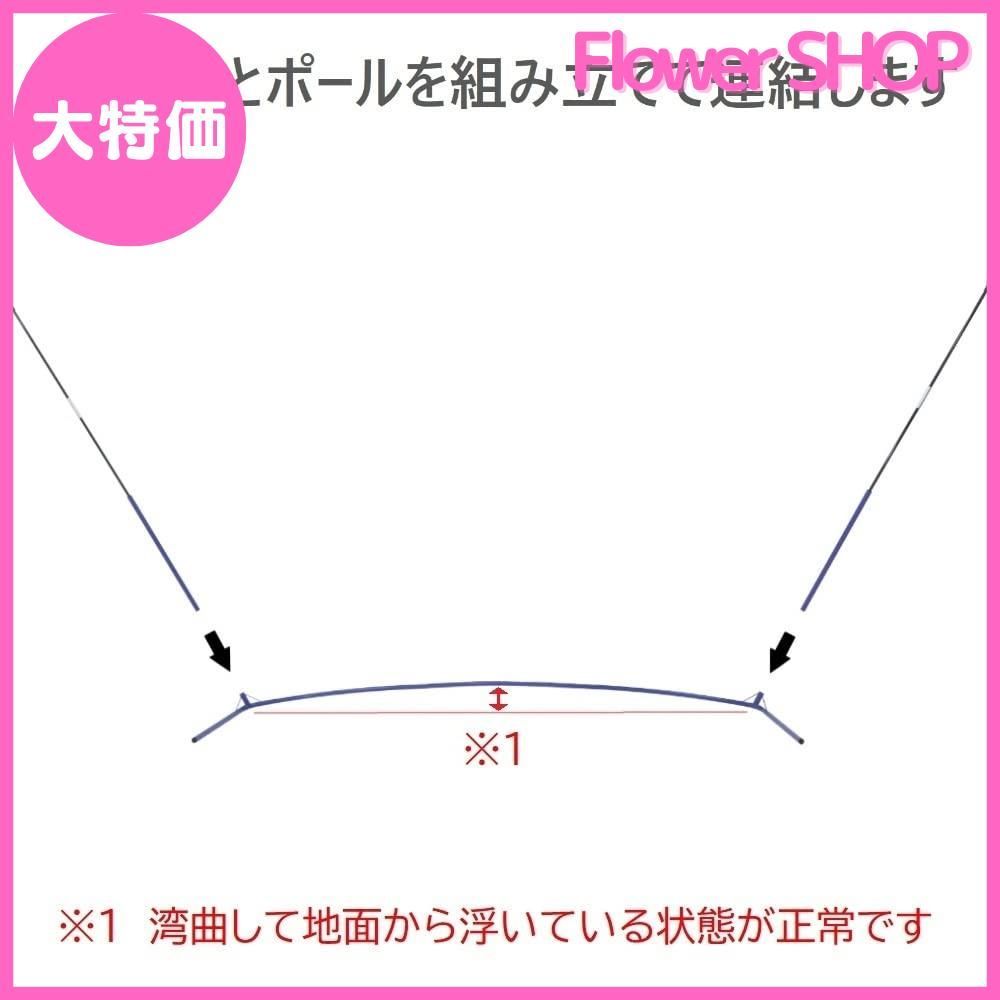 トレーニング