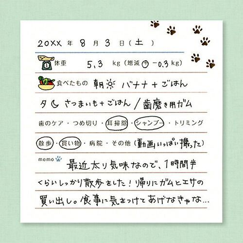 まとめ 山櫻 記録カード memorokuカード ペット 351293 ×25セット