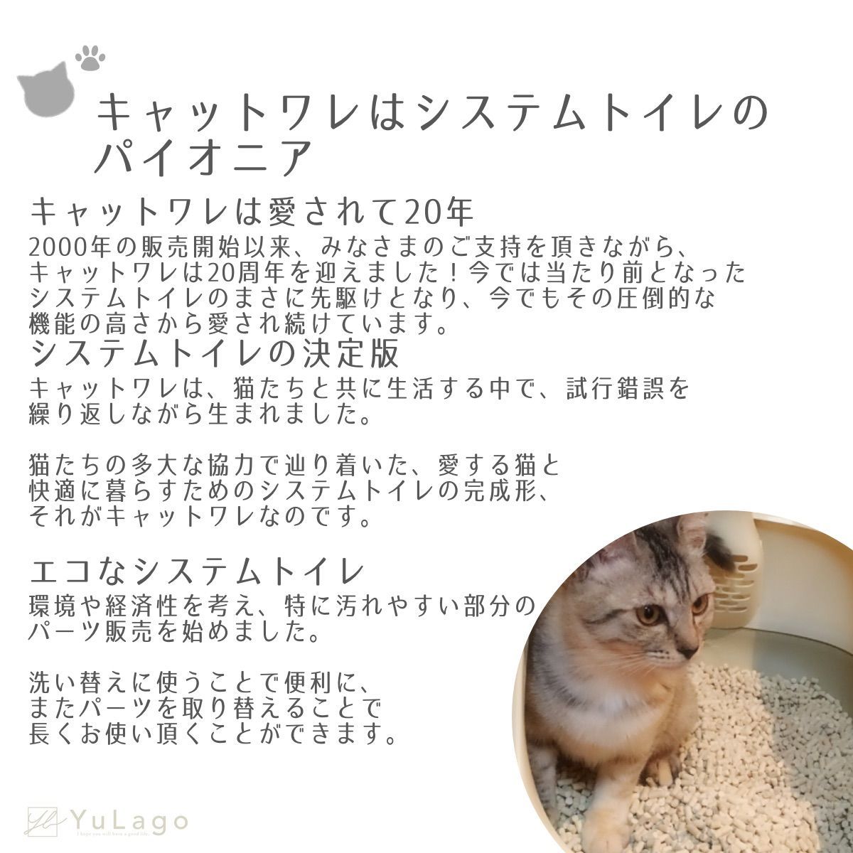 白ねこ専用 瀬戸焼 招き猫 白8寸招き猫（右） （1個入）（直送品） - アスクル