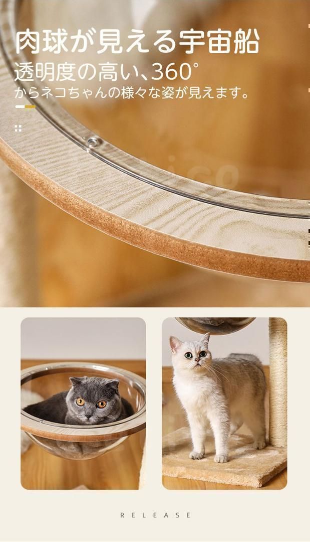 ネコの室内アクティビティ