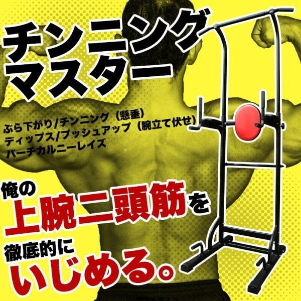 チンニングマスター ぶら下がり健康器 懸垂 チンニング ディップス