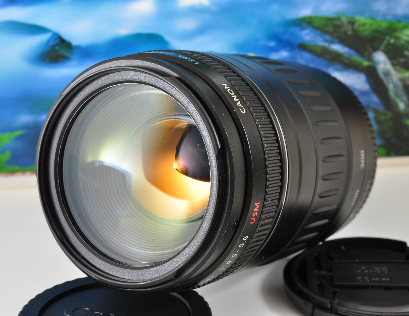 Canon EF 90 300 mm F 4 5 6 USM 望遠ズームレンズ EOS一眼レフ対応 フード 前後キャップ付 女性向け スポーツ撮影