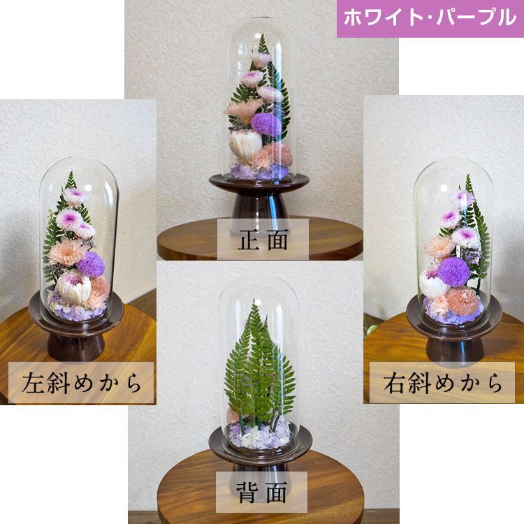 ホワイト パープル