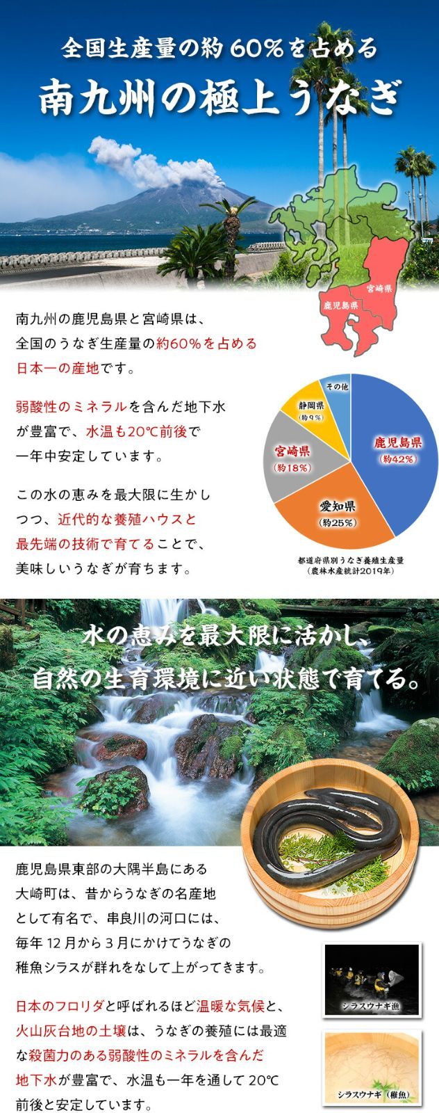 国産うなぎ蒲焼き大サイズ約155g前後×5本入り(約10人前)※タレ＆山椒付き-3