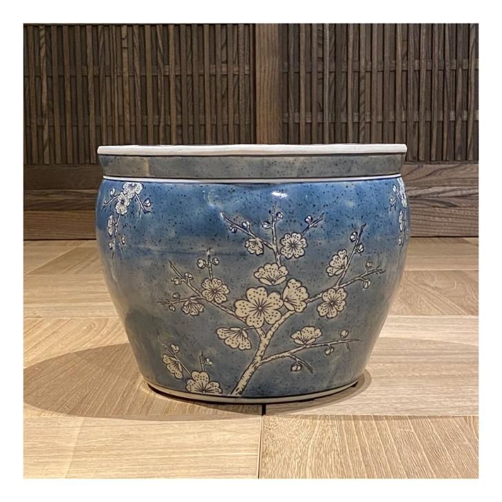 水鉢 睡蓮鉢 陶器 めだか鉢 ハス鉢 青花丸大魚缶 白梅 中 10号