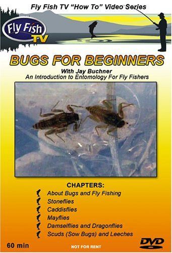 【】Bugs for Beginners [DVD]