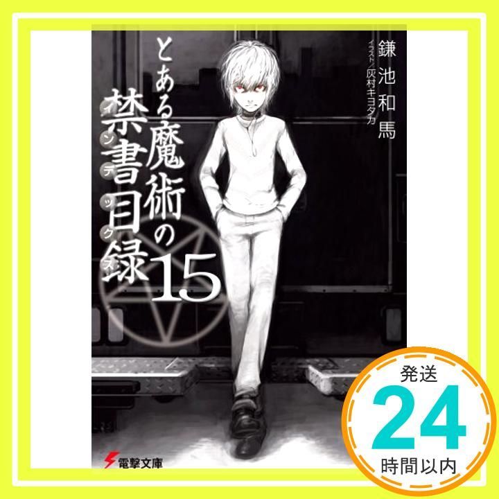 とある魔術の禁書目録 15 電撃文庫 Jan 09 2008 鎌池 和馬 灰村 キヨタカ_04