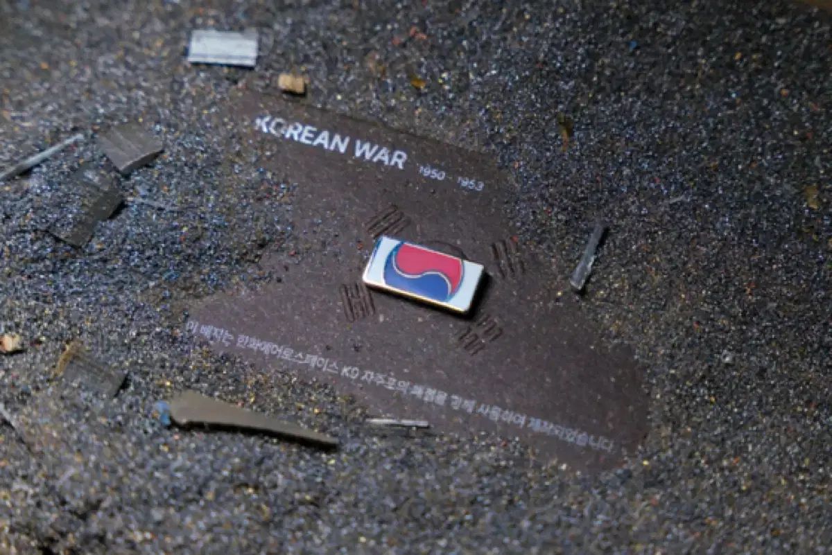 Hanwhae Eagles ハンファ イーグルス 太 木 バッジ