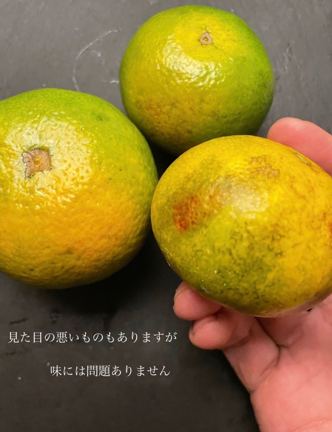 のサムネイル